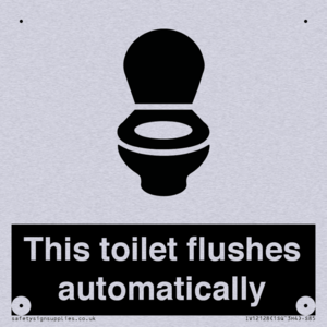 This toilet flushes automatically